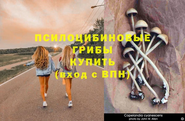 MDMA Premium VHQ Алзамай