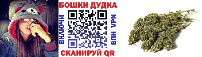 купить закладку  Сосновый Бор  Шишки марихуана ГИДРОПОН 